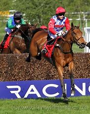 Image result for Kelso Horse