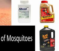 Image result for Get Rid of Mosquitoes