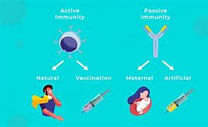 Image result for Active Passive Immunity