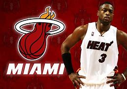 Image result for Miami Heat Logo Colors