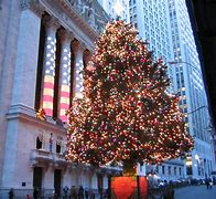 Image result for Tree Outside Window
