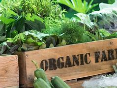 Image result for Organic Farm Products