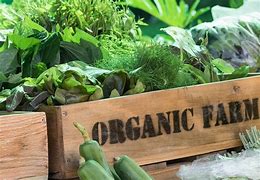 Image result for Organic Farm Brands
