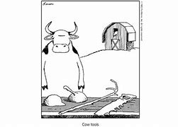 Image result for Cow Shoot Memes