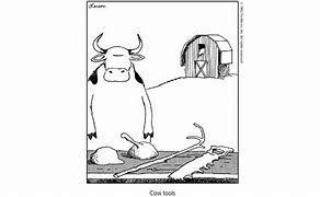Image result for Cow Tools Memes