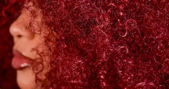 Image result for Shingle Hair