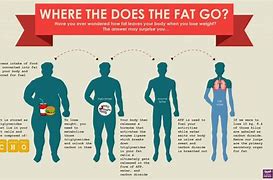 Image result for What Would You Do Fat