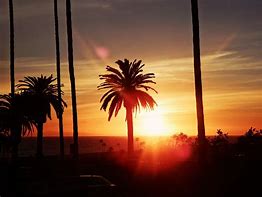 Image result for Los Angeles Sky View