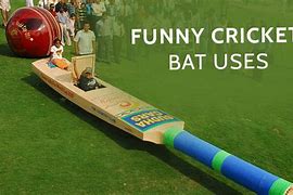 Image result for Huge Cricket Stumps Funny