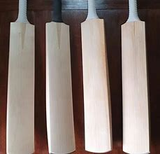Image result for Cricket Bat Wood From Desert
