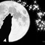 Image result for Wolf Howling at the Moon Galaxy