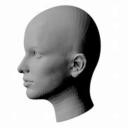 Image result for Glass Head 3D Model
