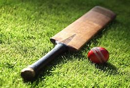 Image result for Season Cricket Bat