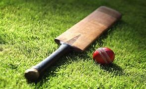 Image result for Cricket Bat WD-40