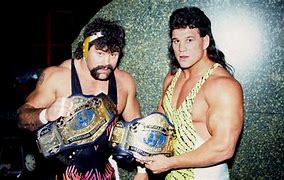 Image result for Steiner Brothers WCW
