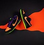 Image result for Nike Dunk Logo