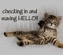 Image result for Hello Images Funny