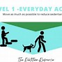 Image result for The Physical Activity Pyramid