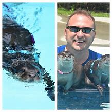 Image result for Otter Swimming Birthday Party in Oklahoma