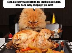 Image result for Hump Day Thanksgiving Eve Memes