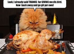 Image result for Happy Thanksgiving Birthday Memes