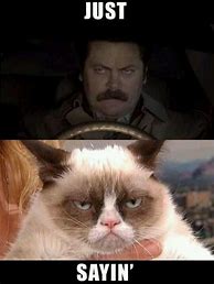 Image result for Grumpy Vcat