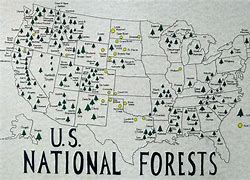Image result for National Forests Locations