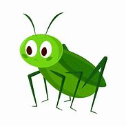 Image result for Find Cricket Insect Cartoon