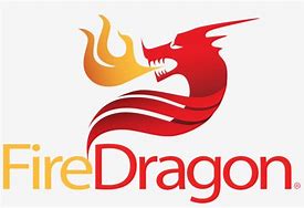 Image result for Fire Dragon Logo