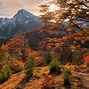 Image result for 2560X1080 Autumn Wallpaper