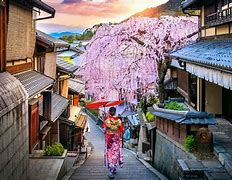 Image result for Best Places Visit Japan