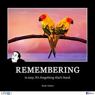 Image result for Funny Memory Loss Animals Free