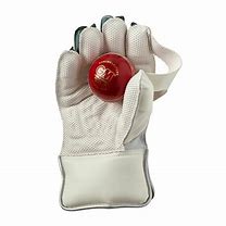 Image result for FLX Cricket Wicket Keeping Gloves