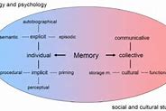 Image result for Memory Brain Function