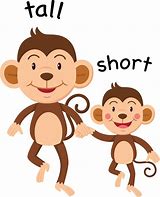 Image result for Tall Short Cartoon