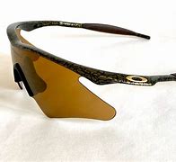 Image result for Vintage Oakley Sunglasses