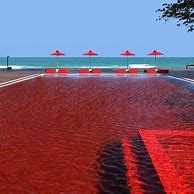 Image result for Best Swimming Beaches Brazil