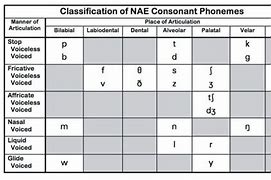 Image result for Fricatives and Affricates Chart