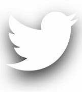 Image result for Twitter Icon in White