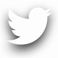 Image result for Twitter Icon White