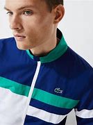 Image result for Lacoste Tracksuit