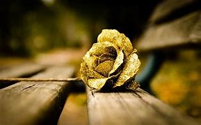 Image result for Rose Gold Flower Desktop