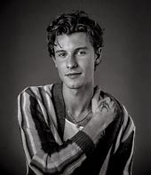 Image result for Shawn Mendes 19