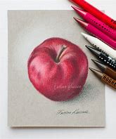 Image result for Red Sugar Apple Drawing
