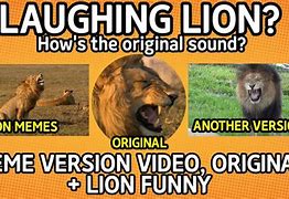 Image result for Leon Laughfin Meme