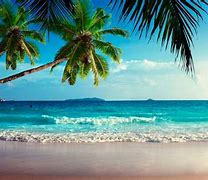 Image result for Tropical Screensavers Free Windows 10