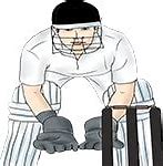 Image result for Cricket Wicket keeper