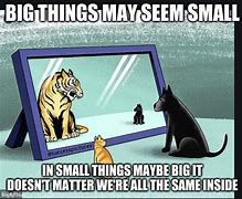 Image result for Small Things Meme