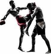 Image result for MMA PNG