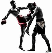Image result for Martial Arts Punch